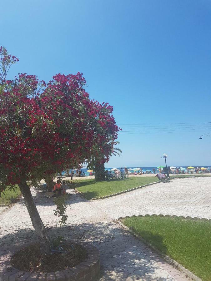 Apartments Mario Флогита Екстериор снимка