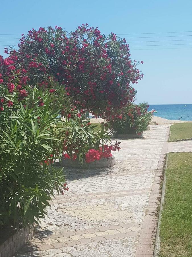 Apartments Mario Флогита Екстериор снимка